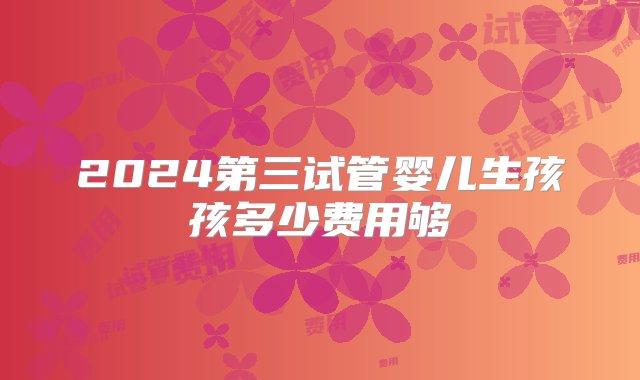 2024第三试管婴儿生孩孩多少费用够