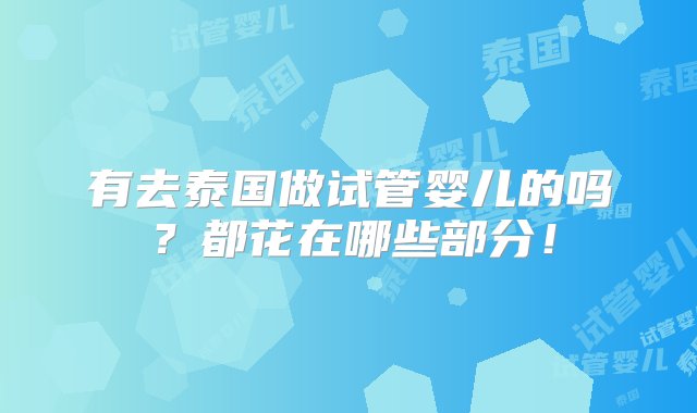 有去泰国做试管婴儿的吗？都花在哪些部分！