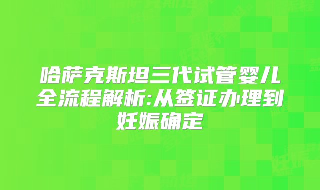 哈萨克斯坦三代试管婴儿全流程解析:从签证办理到妊娠确定