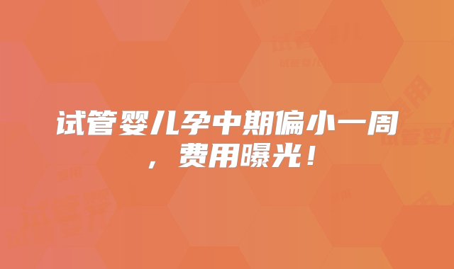 试管婴儿孕中期偏小一周，费用曝光！