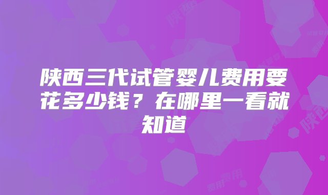 陕西三代试管婴儿费用要花多少钱？在哪里一看就知道