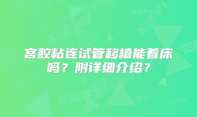 宫腔粘连试管移植能着床吗？附详细介绍？