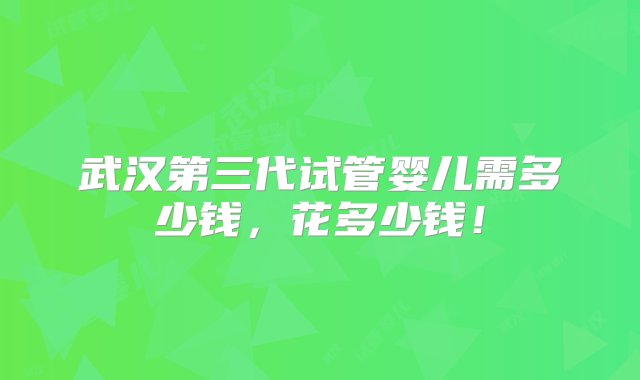 武汉第三代试管婴儿需多少钱，花多少钱！