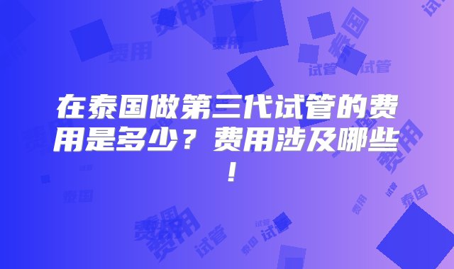 在泰国做第三代试管的费用是多少？费用涉及哪些！