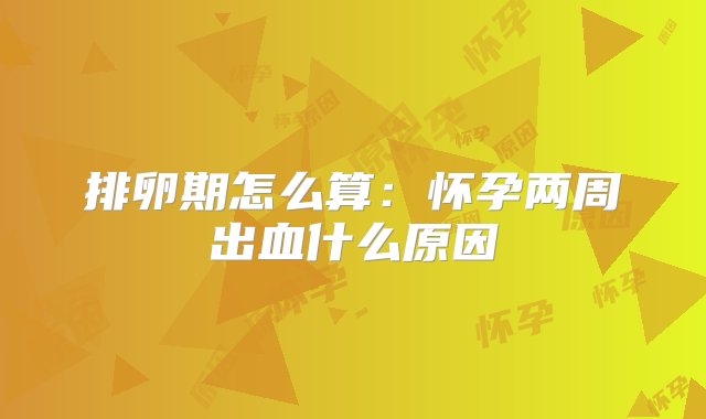 排卵期怎么算：怀孕两周出血什么原因