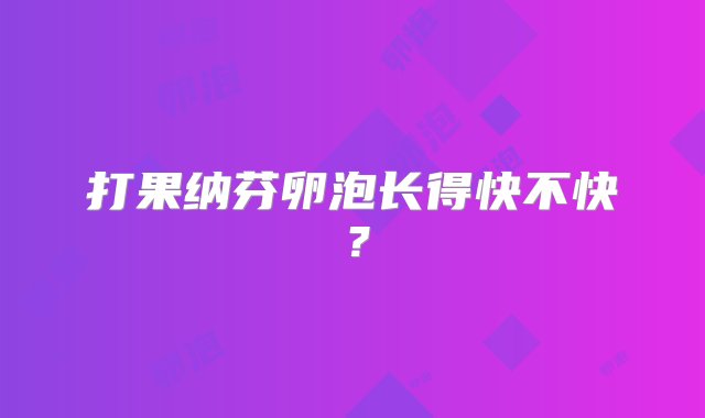 打果纳芬卵泡长得快不快？