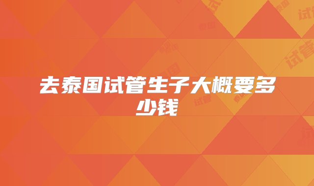 去泰国试管生子大概要多少钱