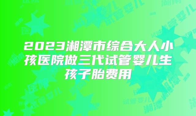 2023湘潭市综合大人小孩医院做三代试管婴儿生孩子胎费用