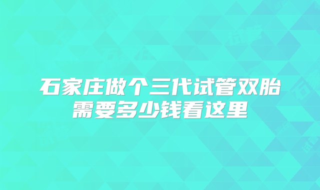 石家庄做个三代试管双胎需要多少钱看这里