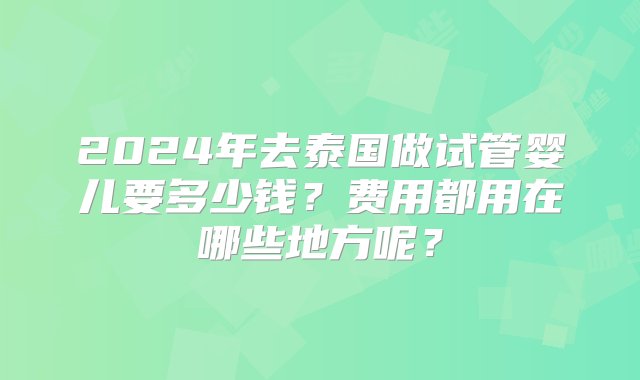 2024年去泰国做试管婴儿要多少钱？费用都用在哪些地方呢？