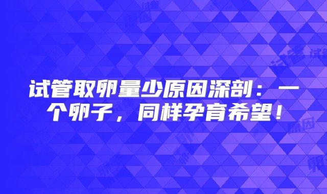 试管取卵量少原因深剖：一个卵子，同样孕育希望！