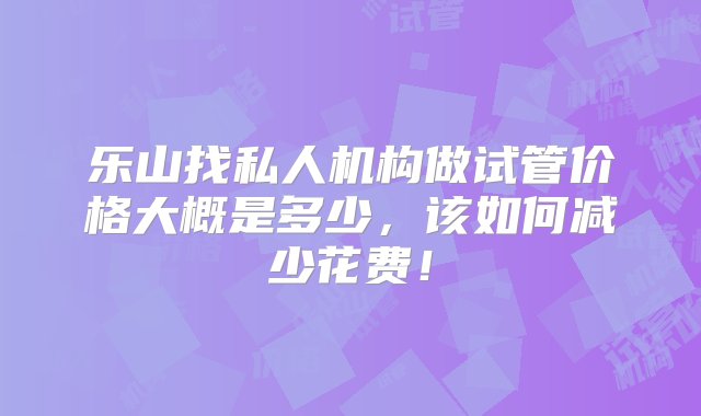 乐山找私人机构做试管价格大概是多少，该如何减少花费！