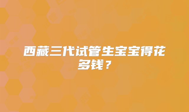 西藏三代试管生宝宝得花多钱？