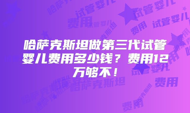 哈萨克斯坦做第三代试管婴儿费用多少钱？费用12万够不！