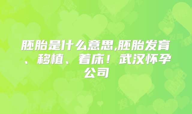 胚胎是什么意思,胚胎发育、移植、着床！武汉怀孕公司