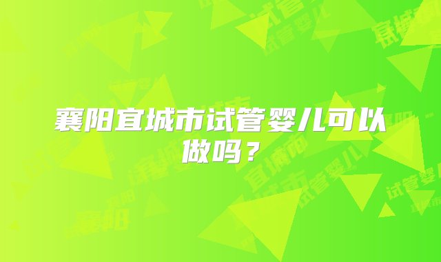 襄阳宜城市试管婴儿可以做吗？