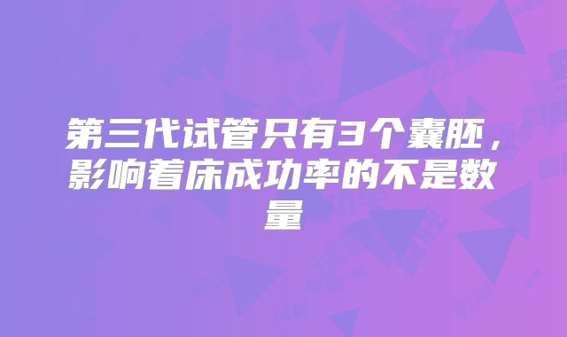 第三代试管只有3个囊胚，影响着床成功率的不是数量