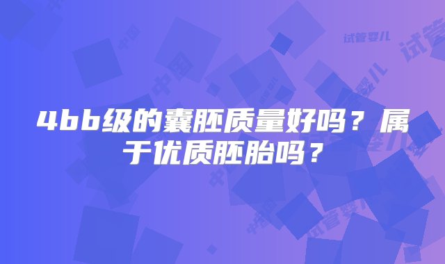 4bb级的囊胚质量好吗？属于优质胚胎吗？