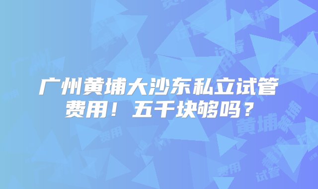 广州黄埔大沙东私立试管费用！五千块够吗？