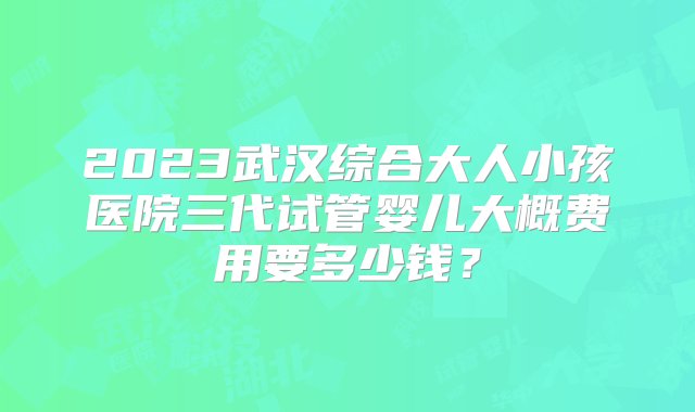 2023武汉综合大人小孩医院三代试管婴儿大概费用要多少钱？