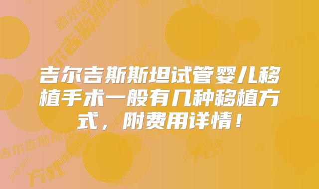 吉尔吉斯斯坦试管婴儿移植手术一般有几种移植方式，附费用详情！