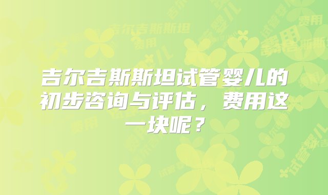 吉尔吉斯斯坦试管婴儿的初步咨询与评估，费用这一块呢？