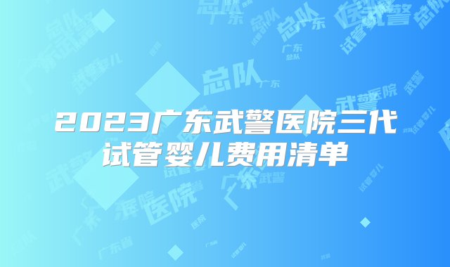 2023广东武警医院三代试管婴儿费用清单