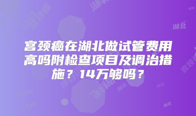 宫颈癌在湖北做试管费用高吗附检查项目及调治措施？14万够吗？