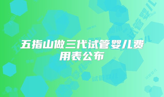 五指山做三代试管婴儿费用表公布