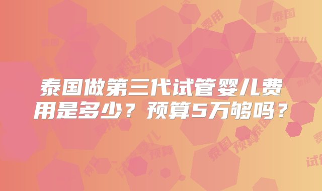 泰国做第三代试管婴儿费用是多少？预算5万够吗？