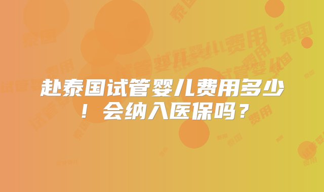 赴泰国试管婴儿费用多少！会纳入医保吗？