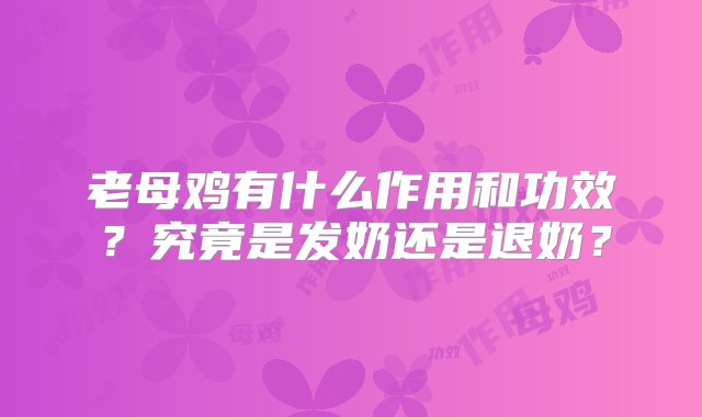 老母鸡有什么作用和功效？究竟是发奶还是退奶？