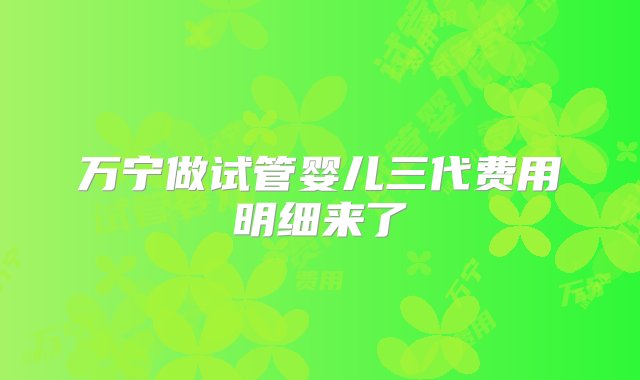 万宁做试管婴儿三代费用明细来了