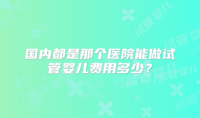 国内都是那个医院能做试管婴儿费用多少？