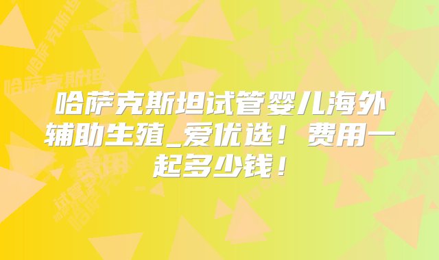 哈萨克斯坦试管婴儿海外辅助生殖_爱优选！费用一起多少钱！