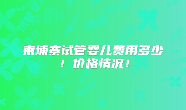 柬埔寨试管婴儿费用多少！价格情况！