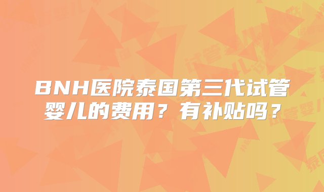 BNH医院泰国第三代试管婴儿的费用？有补贴吗？