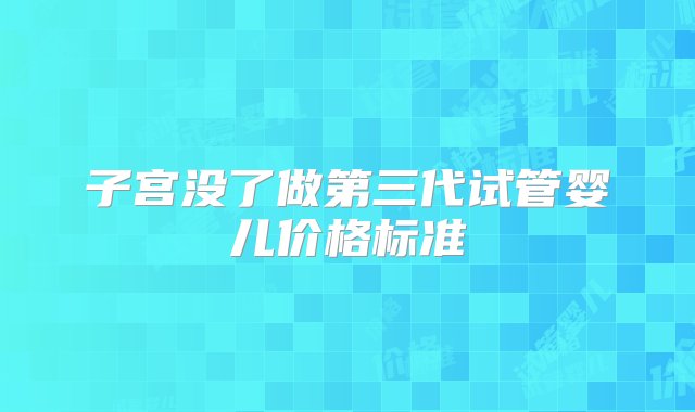 子宫没了做第三代试管婴儿价格标准