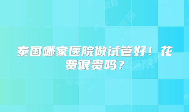 泰国哪家医院做试管好！花费很贵吗？