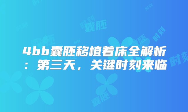 4bb囊胚移植着床全解析：第三天，关键时刻来临