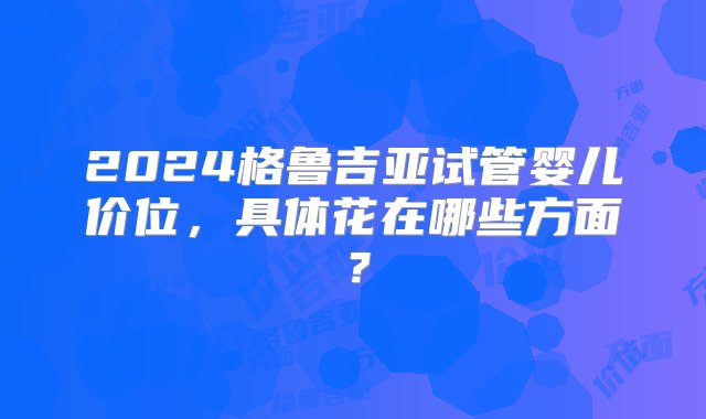 2024格鲁吉亚试管婴儿价位，具体花在哪些方面？