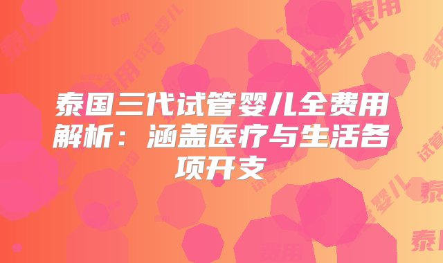 泰国三代试管婴儿全费用解析：涵盖医疗与生活各项开支