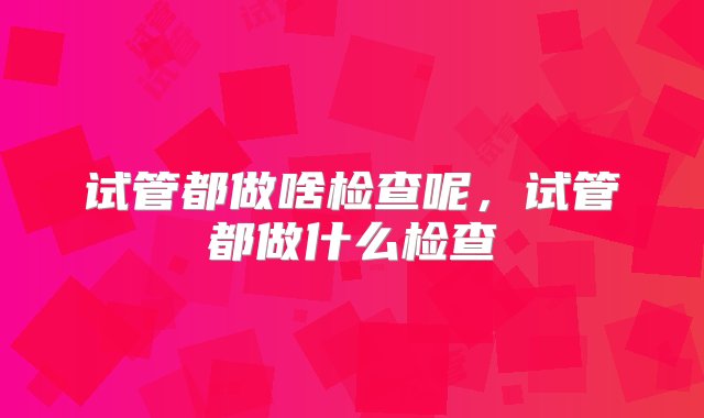 试管都做啥检查呢，试管都做什么检查