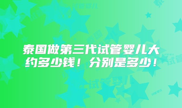 泰国做第三代试管婴儿大约多少钱！分别是多少！