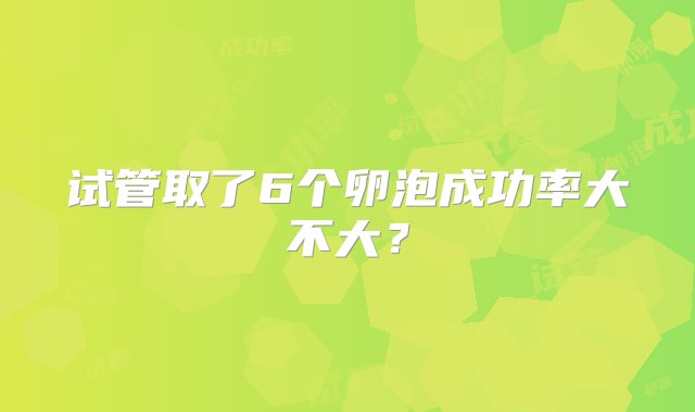 试管取了6个卵泡成功率大不大？