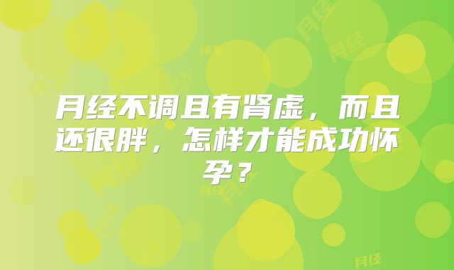 月经不调且有肾虚，而且还很胖，怎样才能成功怀孕？