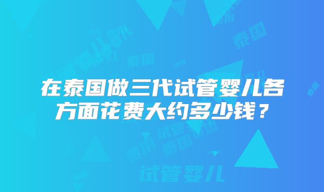 在泰国做三代试管婴儿各方面花费大约多少钱？