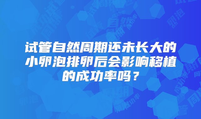 试管自然周期还未长大的小卵泡排卵后会影响移植的成功率吗？