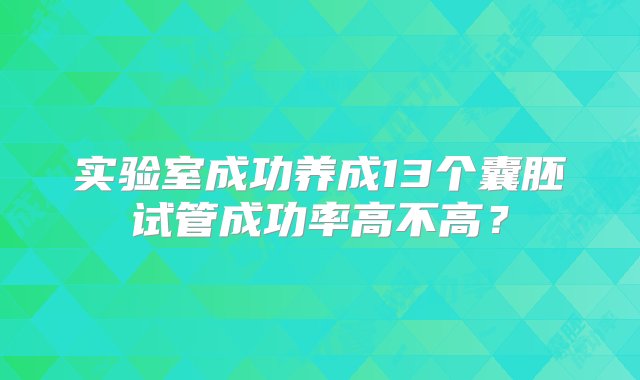 实验室成功养成13个囊胚试管成功率高不高？