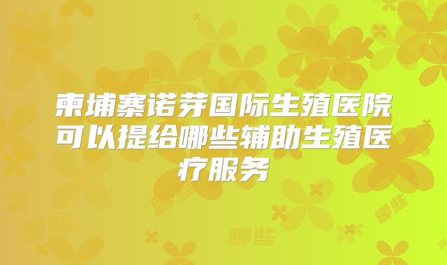 柬埔寨诺芽国际生殖医院可以提给哪些辅助生殖医疗服务